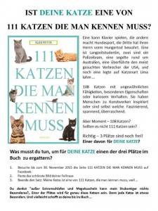 111katzen_info