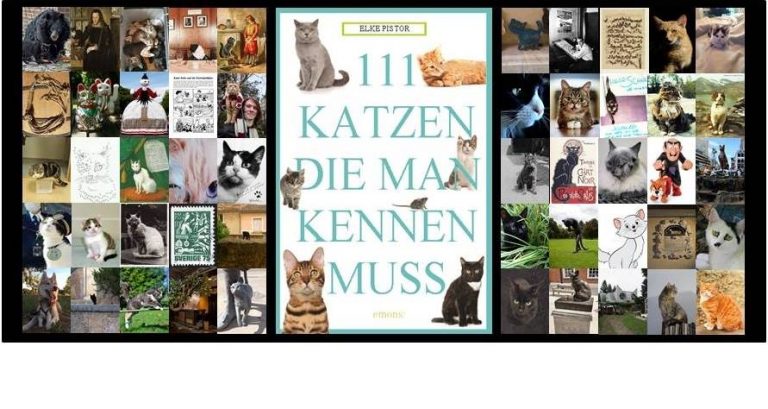 111 Katzen, die man kennen muss